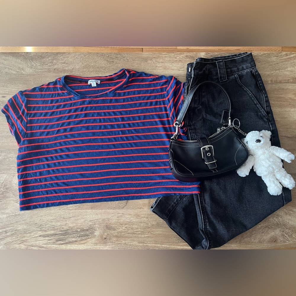 Splendid Navy and Red Striped Crop Top